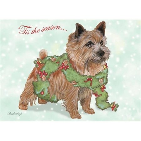 PIPSQUEAK PRODUCTIONS Pipsqueak Productions C727 Norwich Terrier Christmas Boxed Cards - Pack of 10 C727
